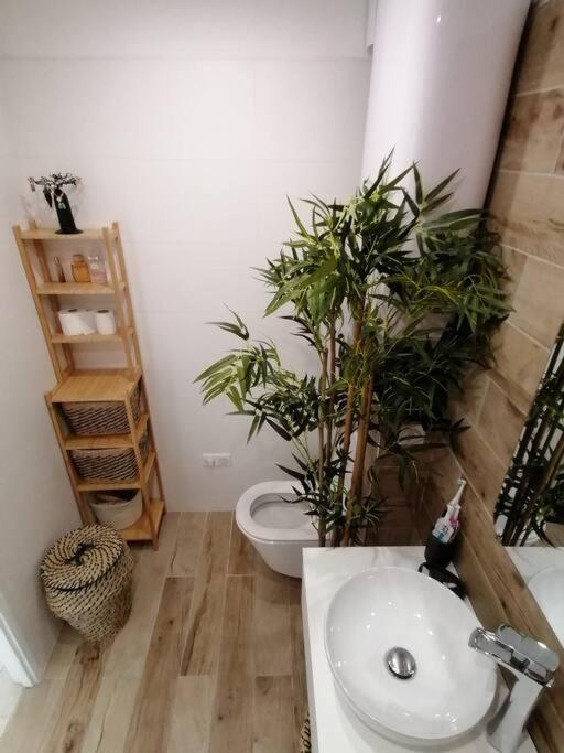Superbe Studio Ethnique Apartment Hyeres Exterior photo